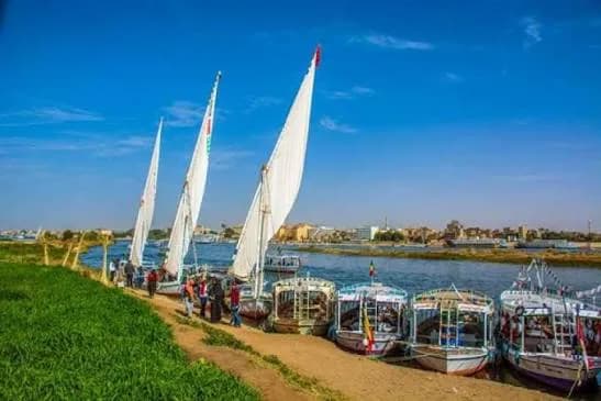Feluccas and boats moored along the Nile riverbank