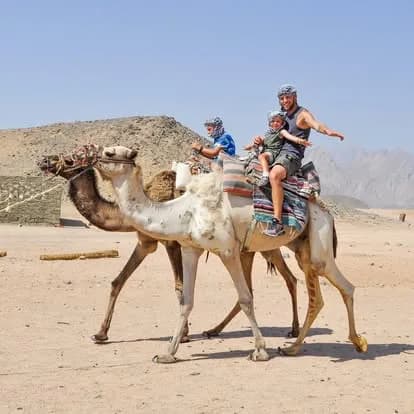 Father and child riding a camel led through the desert at the Bedouin village