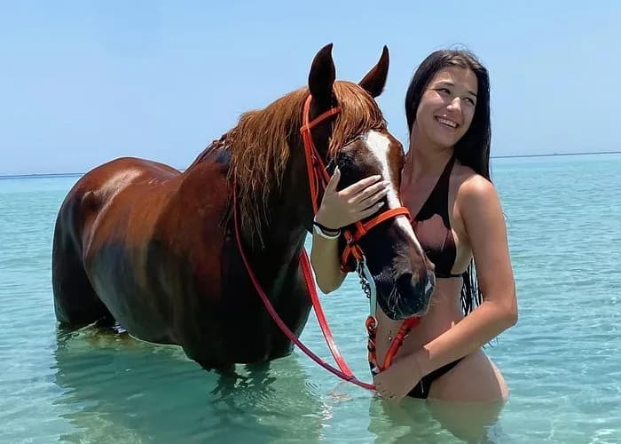 Rider and horse in the Red Sea