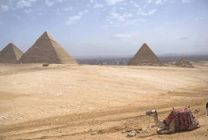 Pyramids of Giza with a camel in the foreground