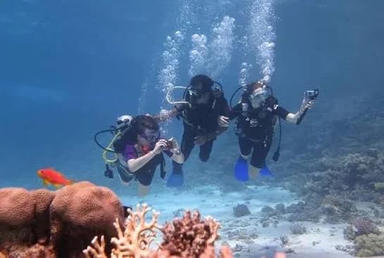 Three divers with cameras hovering over a coral reef