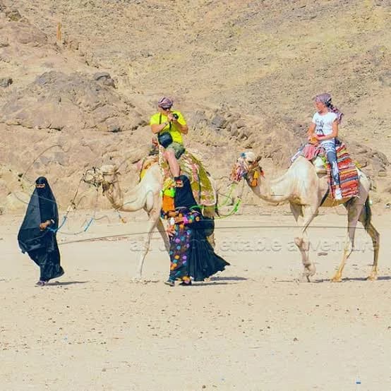 Camels near a Bedouin village
