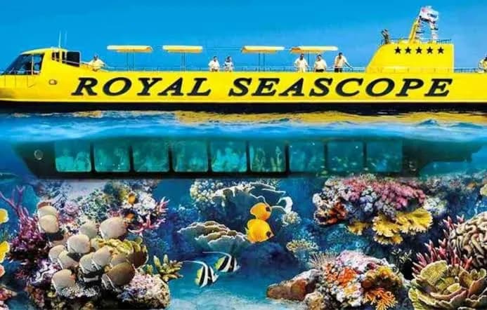 Royal Seascope boat with underwater view of coral reef and fish
