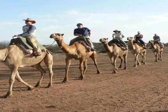 Line of five riders on camels crossing open desert terrain