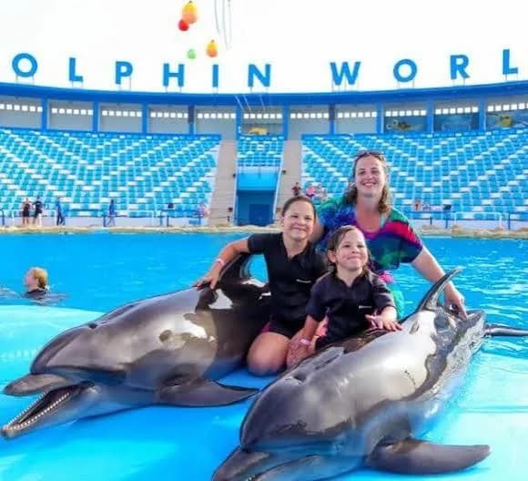 Family posing with two dolphins in the pool at Dolphin World