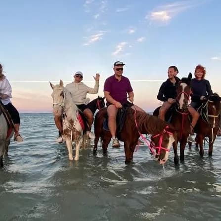 Group of riders on horses standing in shallow sea water