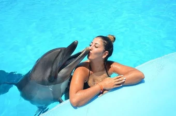 Woman leaning over the pool edge exchanging a kiss with a dolphin during the Swimming with Dolphins experience