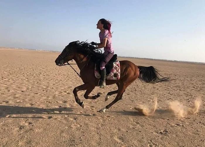 Horse and rider galloping in the desert