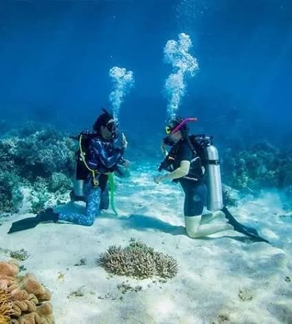 Two divers kneeling on the sandy seabed near a coral outcrop, with air bubbles rising