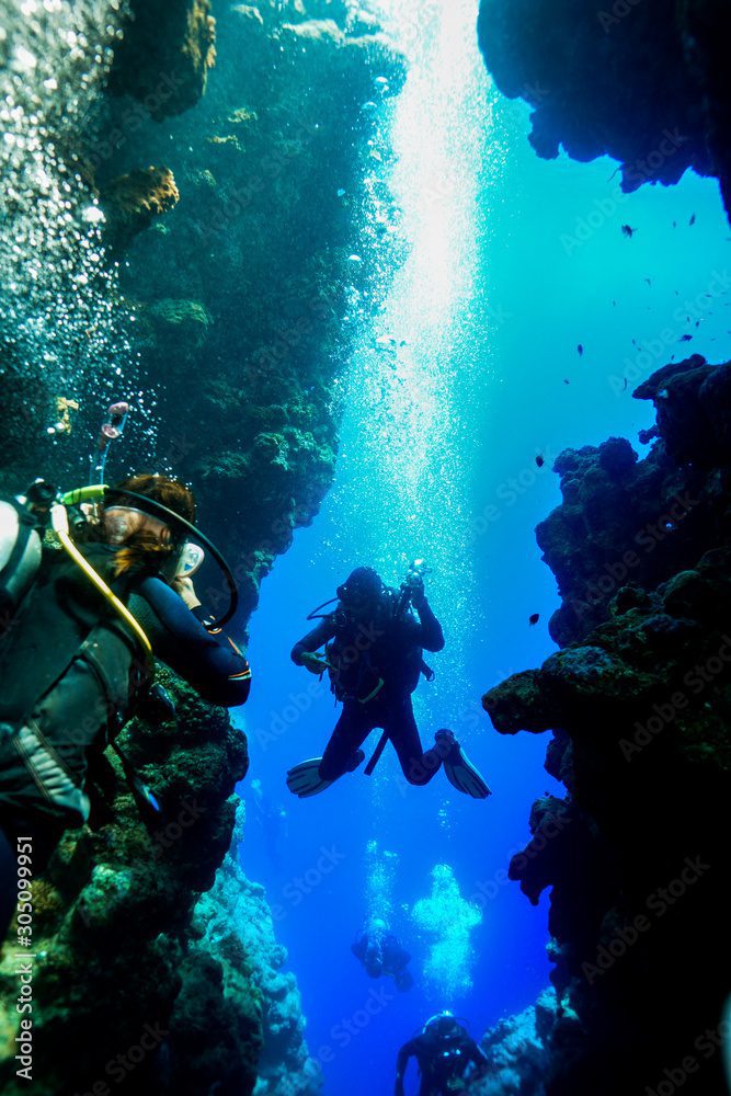 Day Scuba Diving Package