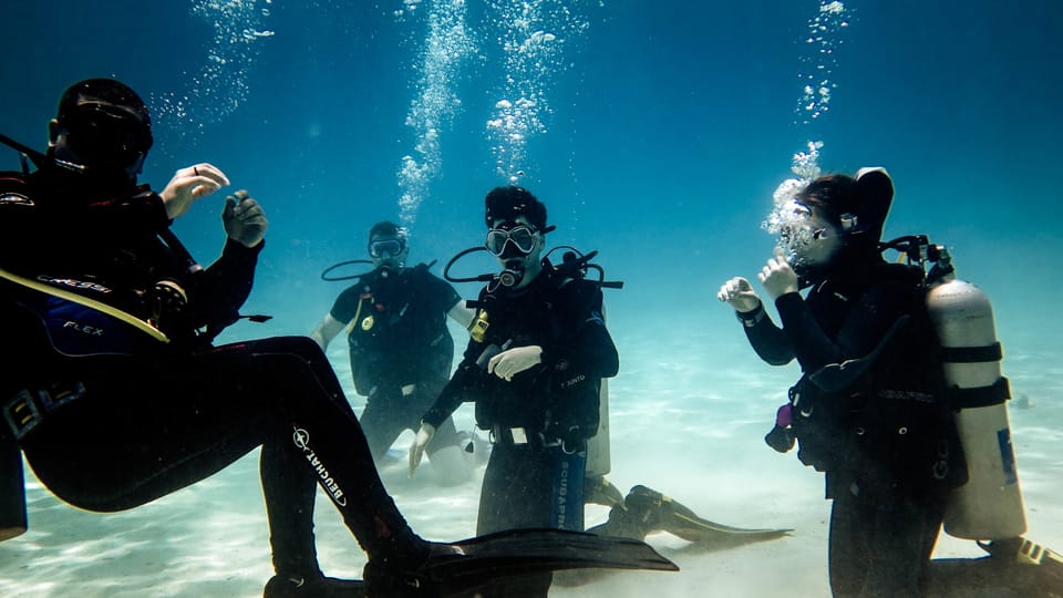 PADI Open Water Diving Course & other courses
