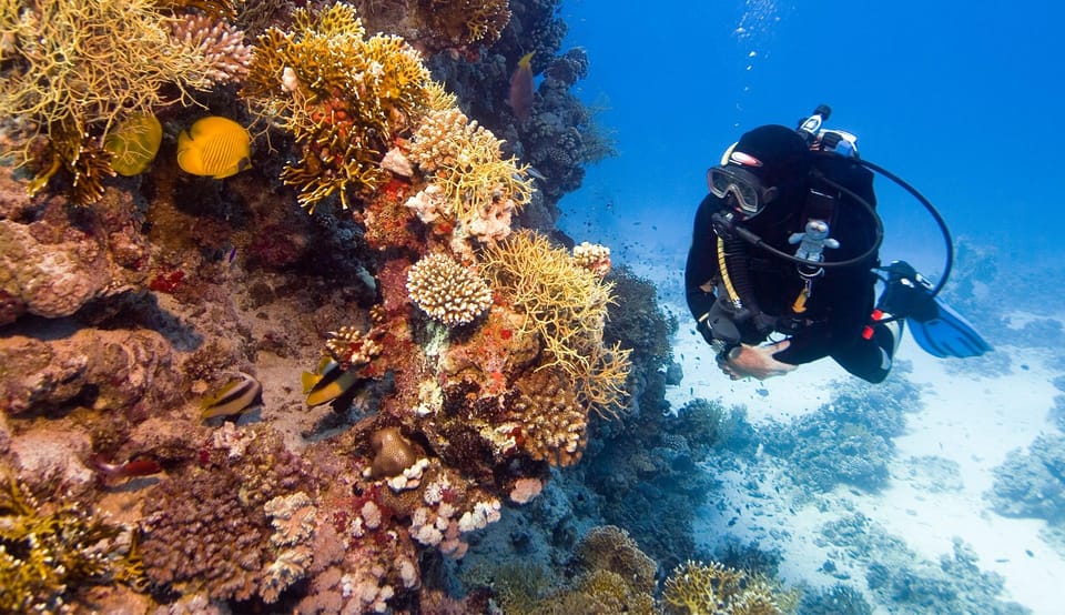 Kurs nurkowania w Hurghadzie – PADI Open Water & zaawansowane kursy