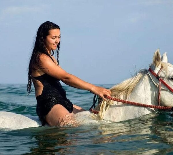 Wycieczka konna w Hurghadzie – Jazda po pustyni i plaży + Swimup | Rezerwacja Online