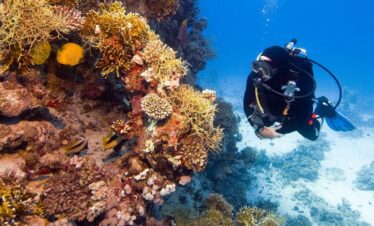 Kurs nurkowania w Hurghadzie – PADI Open Water & zaawansowane kursy