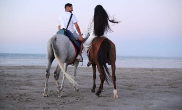 Horse Riding Tour