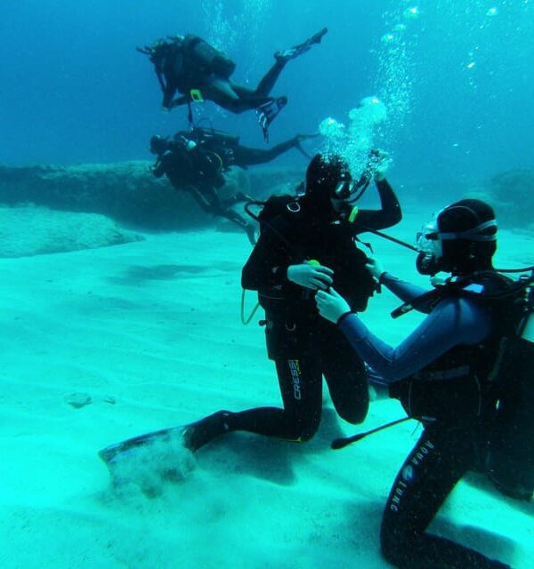 PADI Open Water Diving Course & other courses