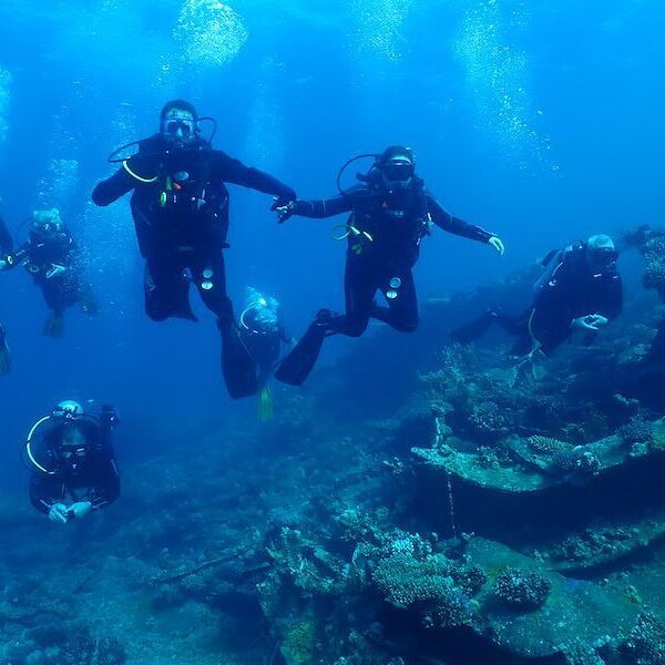 Nurkowanie w Morzu Czerwonym