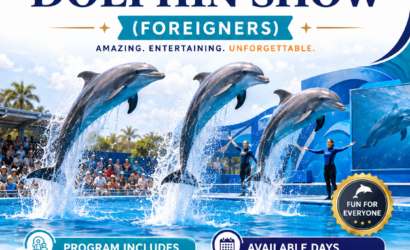 Dolphin World Egypt-Show ab Hurghada