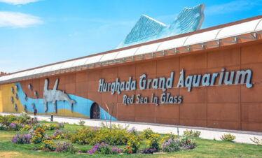 Hurghada Grand Aquarium Tour