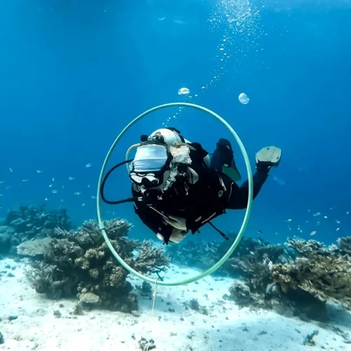 PADI Advanced Open Water Diver course Hurghada Harmony Tours